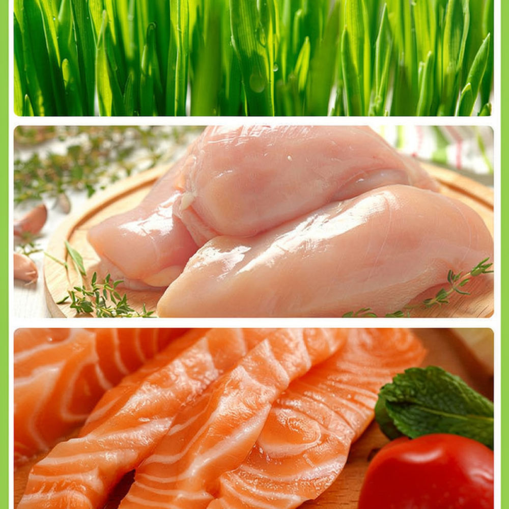 Freeze Dried Cat Grass Bites H - Healthy Snacks Food 评论和价格